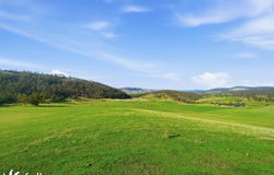 452 Back Tea Tree Road, Richmond, Tas 7025
