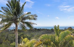 63 Paterson Street, Byron Bay, NSW 2481