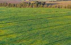 Lot 1 Burgess Lane, Naracoorte, SA 5271