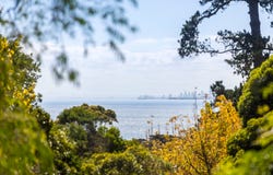 12 Jacksons Road, Mount Eliza, Vic 3930