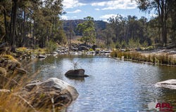 617 Bluff River Road, Tenterfield, NSW 2372