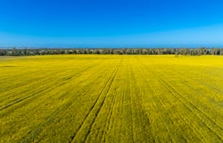 298 Eumungerie Road, Narromine, NSW 2821
