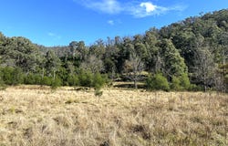 Lot 4 Araluen Road, Araluen, NSW 2622
