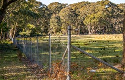 30 Niclins Road, Mangrove Mountain, NSW 2250