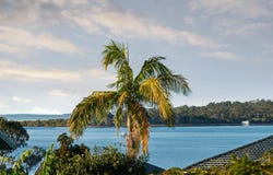 1 Cartwright Street, Victoria Point, Qld 4165