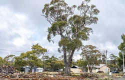 3 Trout Crescent, Miena, Tas 7030