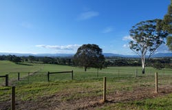 41 Ingram Road, Coldstream, Vic 3770