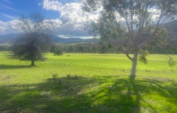 8243 Murray River Road, Walwa, Vic 3709