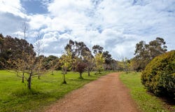 PL 231 / 31 Eucalyptus Court, Margaret River, WA 6285