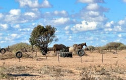 66, Smith Road, Ceduna, SA 5690