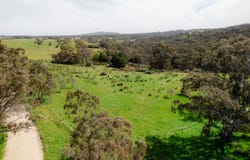 75 Shillidays Road, Langley, Vic 3444