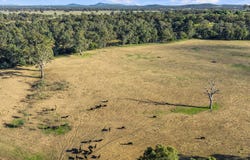 1 Tierney Street, Seymour, Vic 3660
