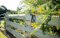 70 Colemans Road, Yandina, Qld 4561