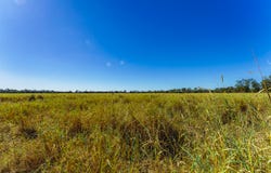 "Tyagarah" & "Aralee",, Middlemount, Qld 4746