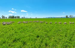 322 Balcarry Lane, Tamworth, NSW 2340
