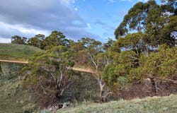 75 Mullers Lane, Shepherds Flat, Vic 3461