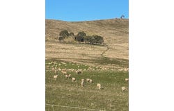 860 Tor Hill Road, Ouse, Tas 7140