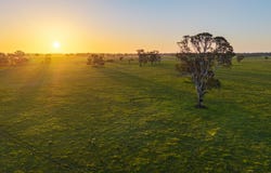 Lot 1 Burgess Lane, Naracoorte, SA 5271