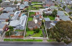 42 Francis Street, Belmont, Vic 3216