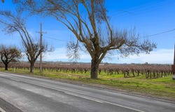 Lot 351 Angaston Road, Nuriootpa, SA 5355