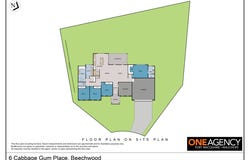 6 Cabbage Gum Place, Beechwood, NSW 2446