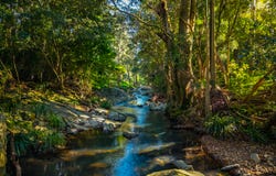 69 Currey Road, Wongawallan, Qld 4210