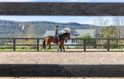 1870 Orara Way, Glenreagh, NSW 2450