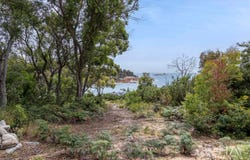 15 Seaton Cove Road, Binalong Bay, Tas 7216