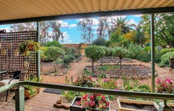 1251 Devlins Pound Road, Pooginook, SA 5330