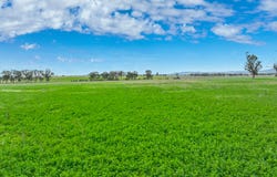 359 Balcarry Lane, Attunga, NSW 2345