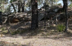 90 Wattle Ridge Road, Hill Top, NSW 2575