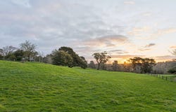 89 Wedge Street, Kyneton, Vic 3444