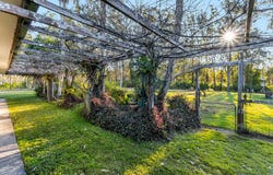 1170 Mongogarie Road, Mongogarie, NSW 2470