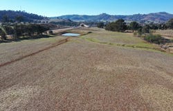 76 Sylvias Gap Road, Tumblong, NSW 2729