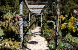 90 Waterloo Road, Firefly, NSW 2429