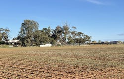 Lot 405 North West Terrace, Warnertown, SA 5540