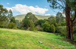 20 Andersons Avenue, Warburton, Vic 3799