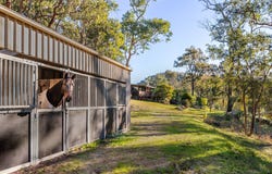 Lower Portland, NSW 2756