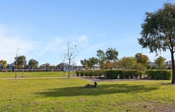 8 Minegara Lane, Ellenbrook, WA 6069