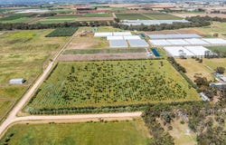 Lot 8 Tower Road, Lewiston, SA 5501