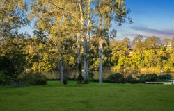 23 & 23A Mandalay Street, Fig Tree Pocket, Qld 4069