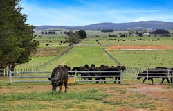 2563 Lumley Road, Lake Bathurst,, Goulburn, NSW 2580