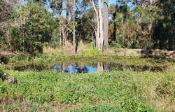 364-380 Steele Road, Logan Village, Qld 4207