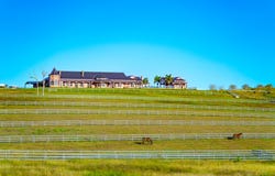 31 Four Mile Lane, Boyland, Qld 4275