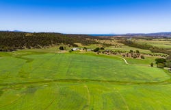 325 Grange Road, Cranbrook, Tas 7190