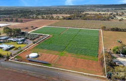 Lot 77, Wingate Road, Hillier, SA 5116