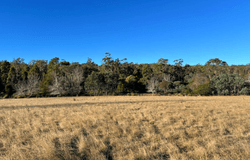 2204 East Tamar Highway, Mount Direction, Tas 7252