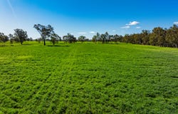 126 Kneebones Road, Wagga Wagga, NSW 2650