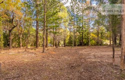 124 Gungas Road, Nimbin, NSW 2480
