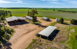 2214 Coolamon Road, Coolamon, NSW 2701